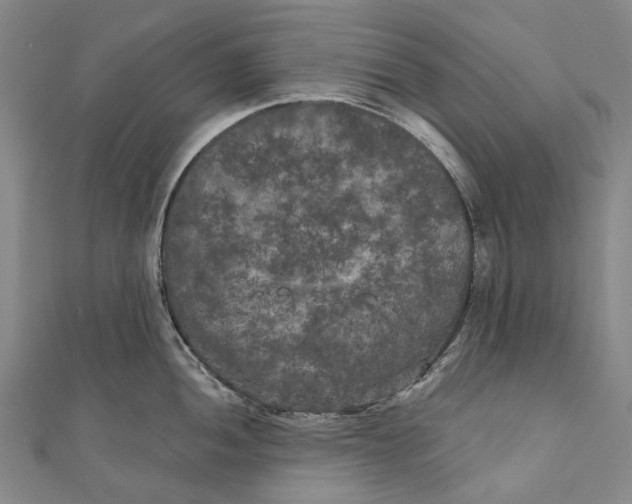 X0000111001052200907101448