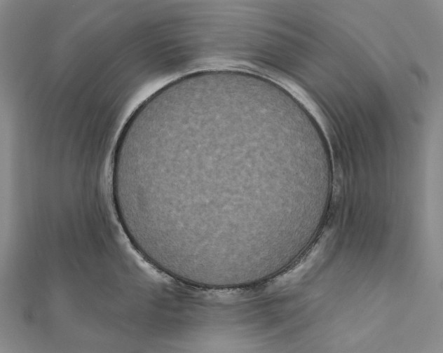 X0000111001053200907101448