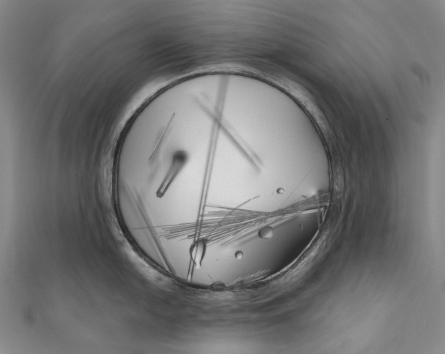 X0000111001054200907101448