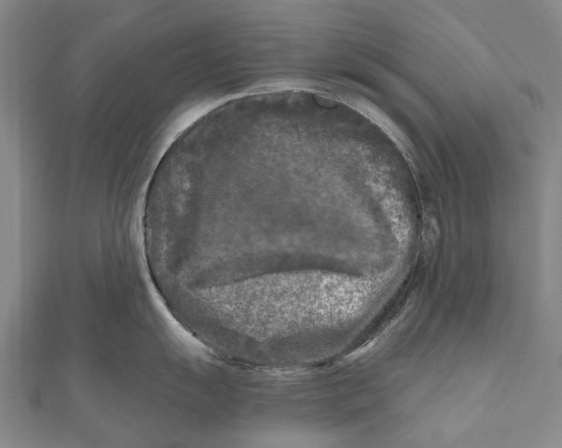 X0000111001055200907101448