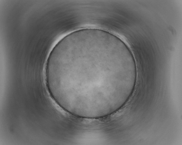 X0000111001056200907101448