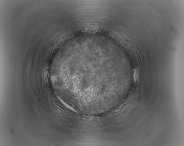 X0000111001059200907101447