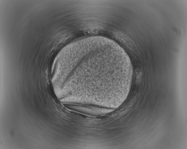 X0000111001060200907101447