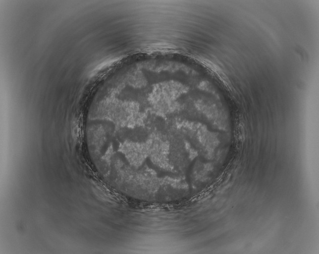 X0000111001063200907101447