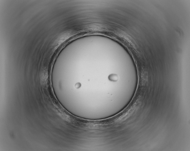 X0000111001065200907101447