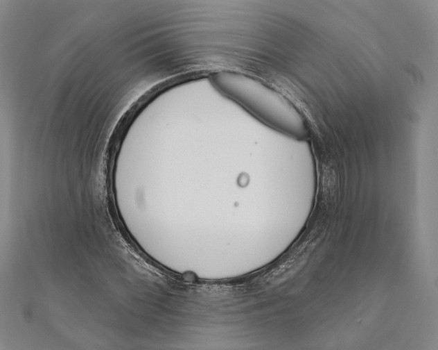 X0000111001068200907101447