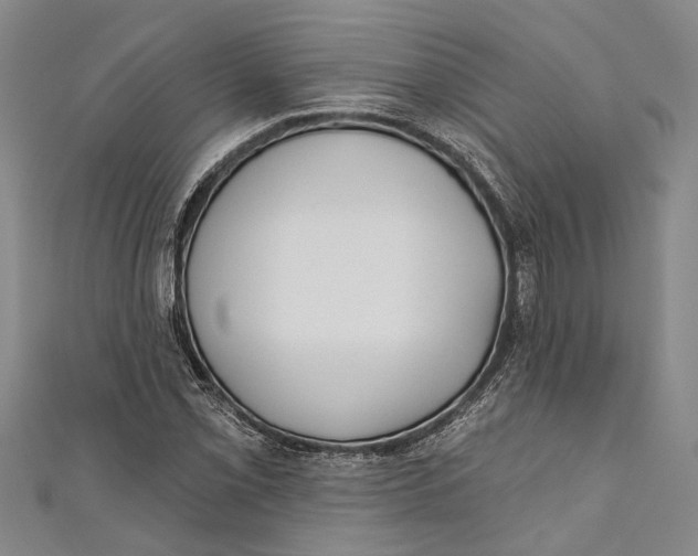 X0000111001069200907101447