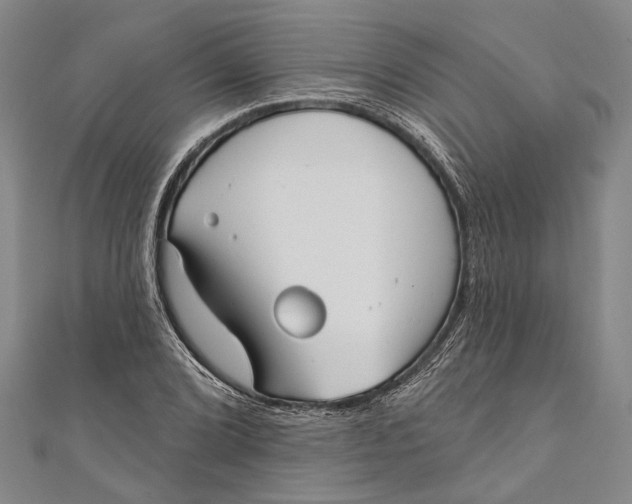 X0000111001072200907101447