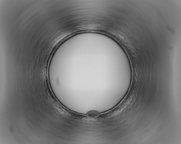 X0000111001073200907101447