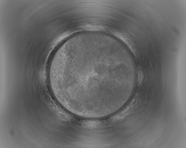 X0000111001074200907101447