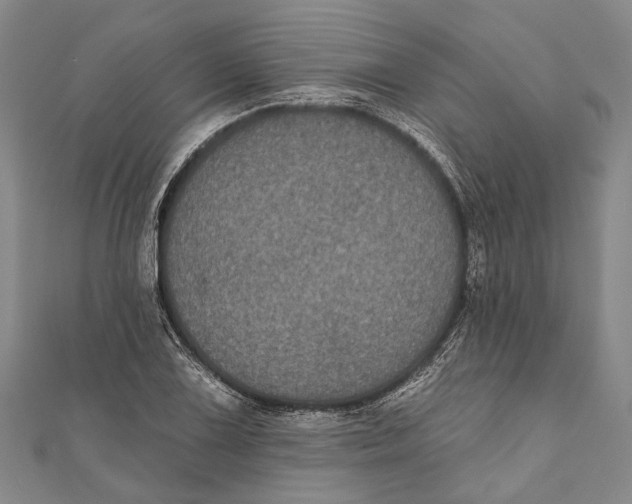 X0000111001075200907101447