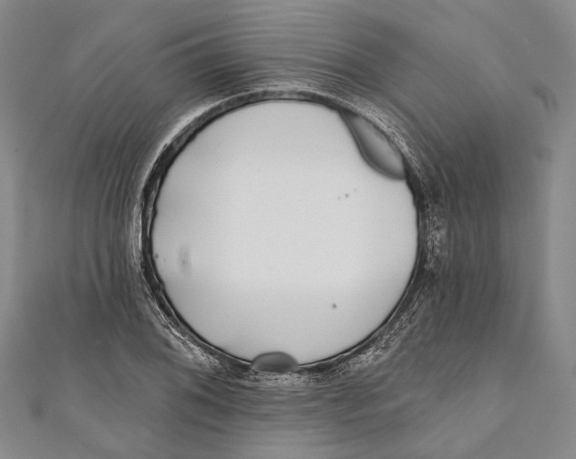 X0000111001076200907101447