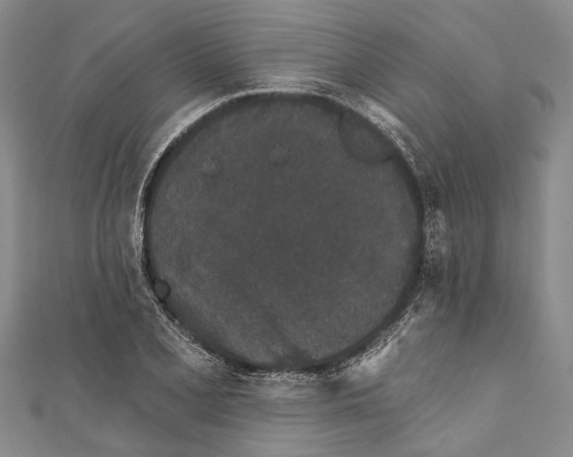 X0000111001077200907101447