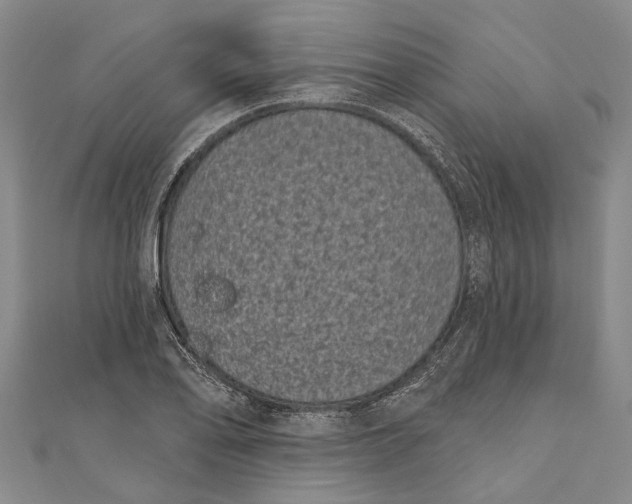 X0000111001078200907101447