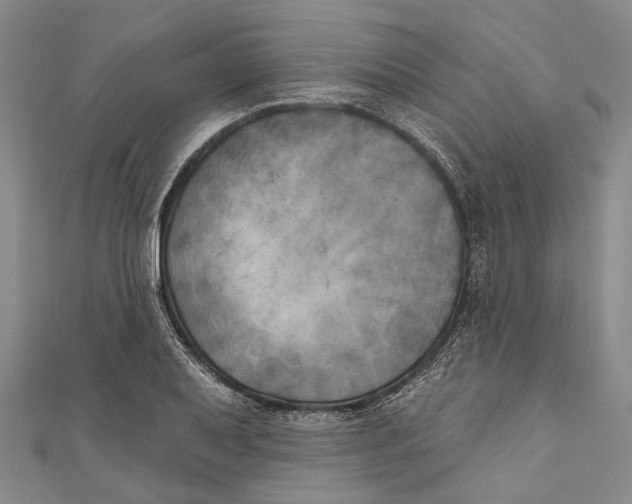 X0000111001079200907101447