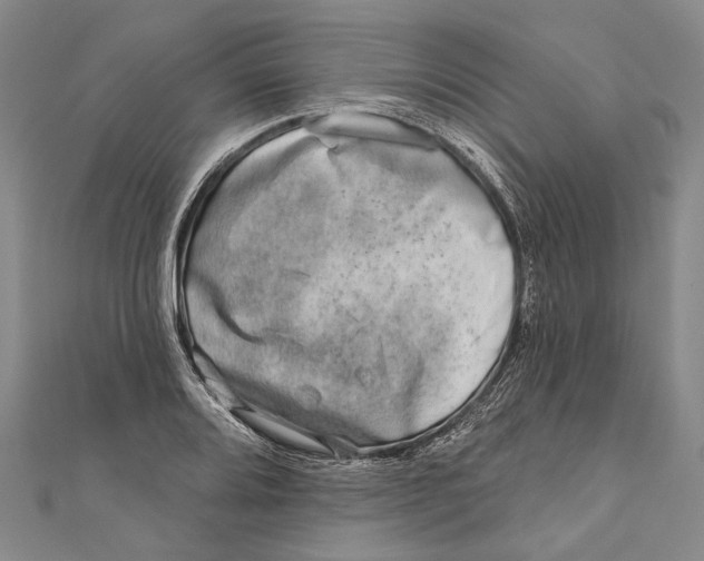 X0000111001080200907101447