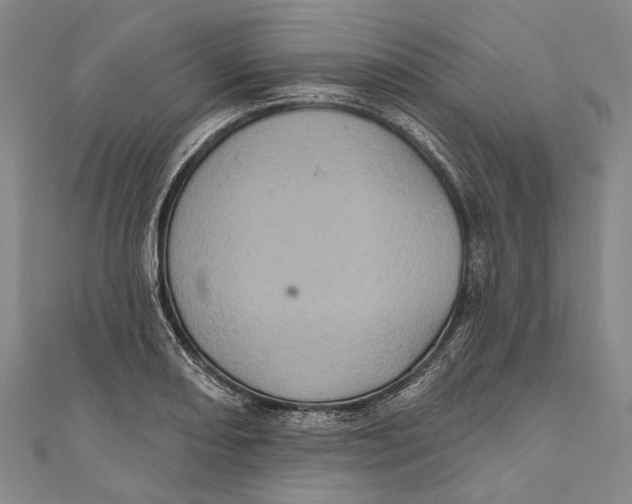 X0000111001082200907101447