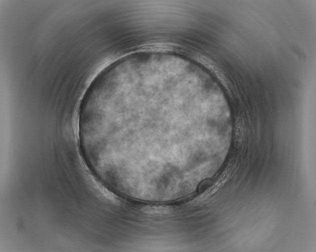 X0000111001083200907101447