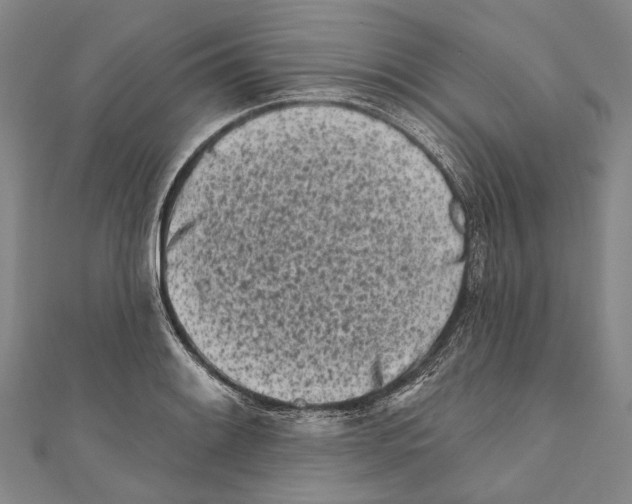 X0000111001084200907101447