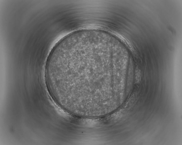 X0000111001086200907101447