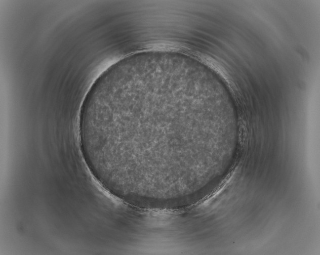 X0000111001087200907101447