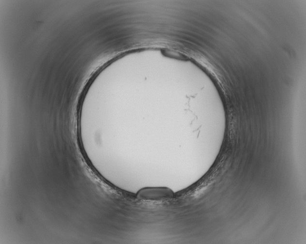 X0000111001088200907101447