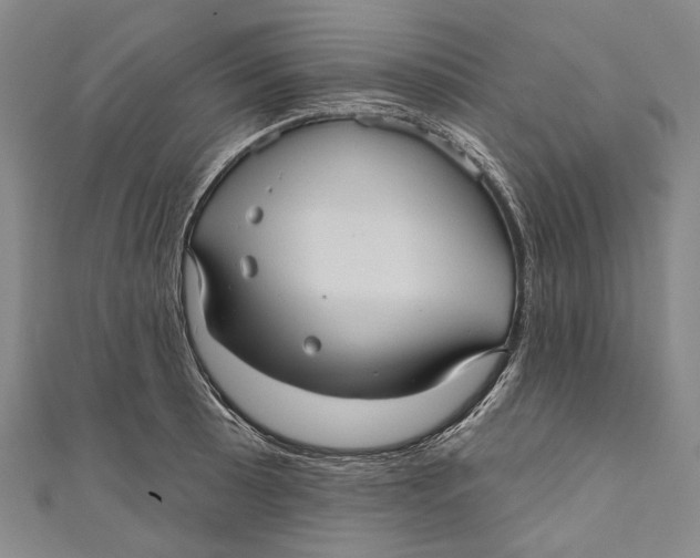 X0000111001089200907101447