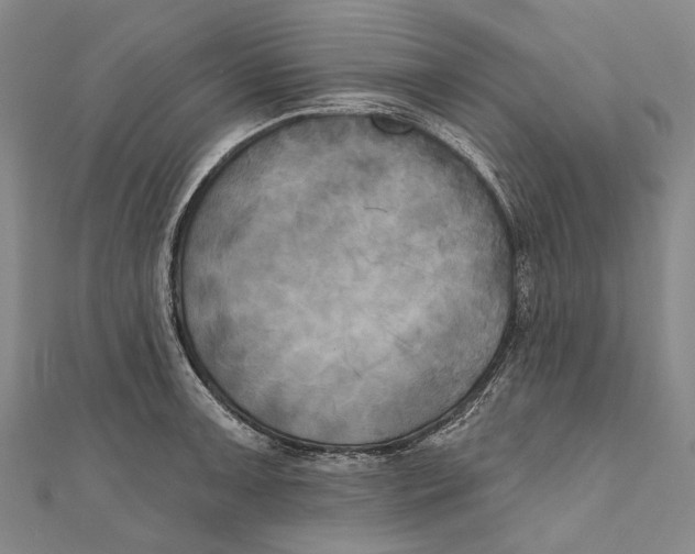 X0000111001091200907101446