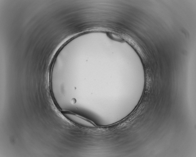 X0000111001092200907101446