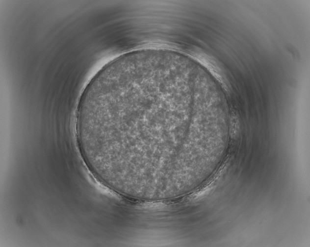 X0000111001094200907101446