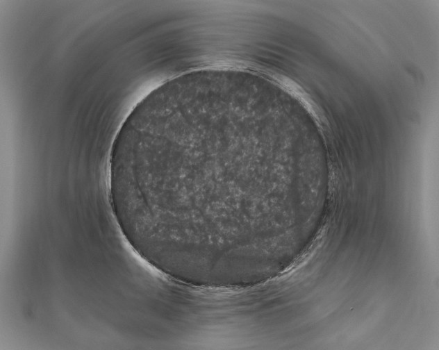 X0000111001095200907101446