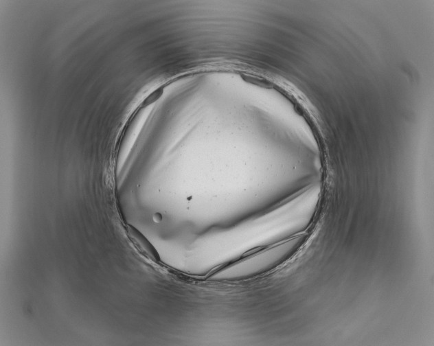 X0000111001097200907101446