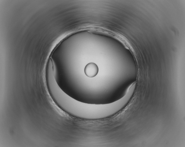 X0000111001098200907101446