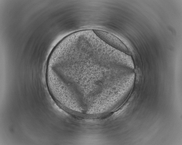 X0000111001102200907101446