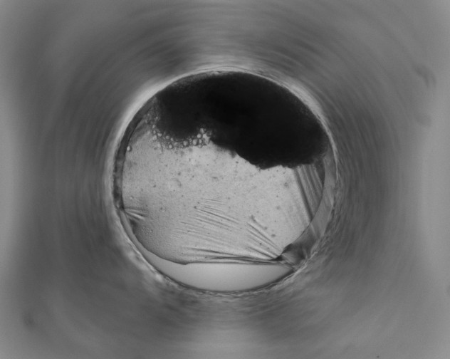 X0000111001104200907101446