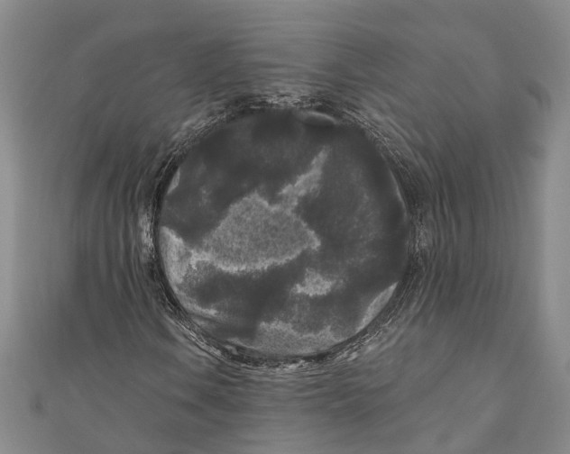 X0000111001106200907101446