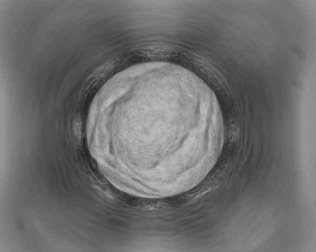 X0000111001108200907101446