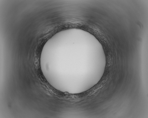 X0000111001109200907101446