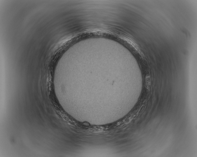 X0000111001111200907101446