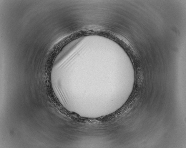 X0000111001112200907101446