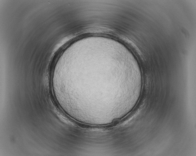 X0000111001114200907101446