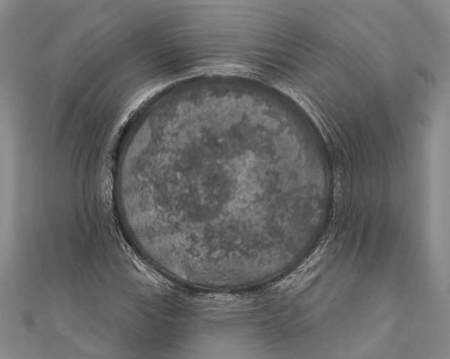 X0000111001115200907101446