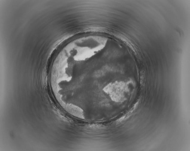 X0000111001117200907101446