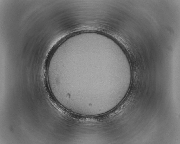 X0000111001119200907101446