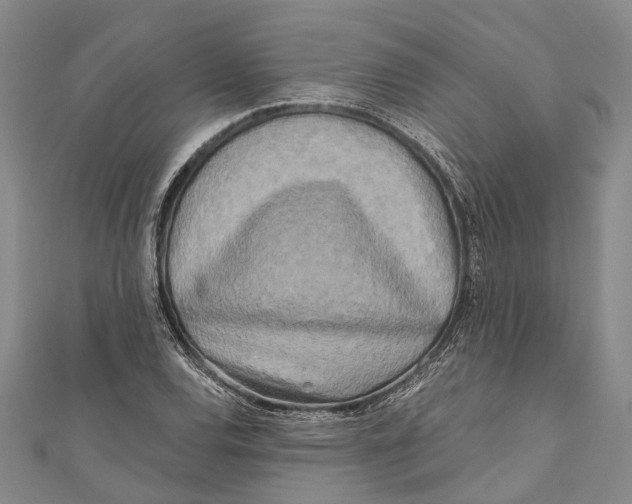 X0000111001120200907101446