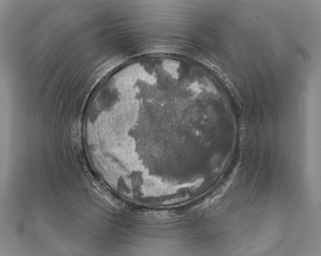 X0000111001121200907101446