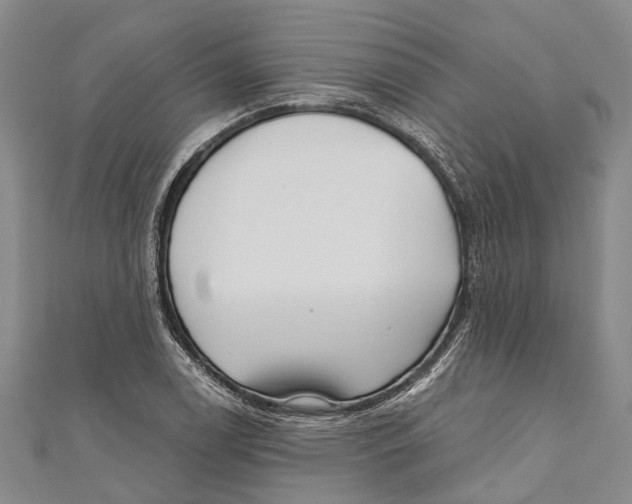 X0000111001122200907101446