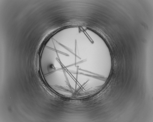 X0000111001123200907101446