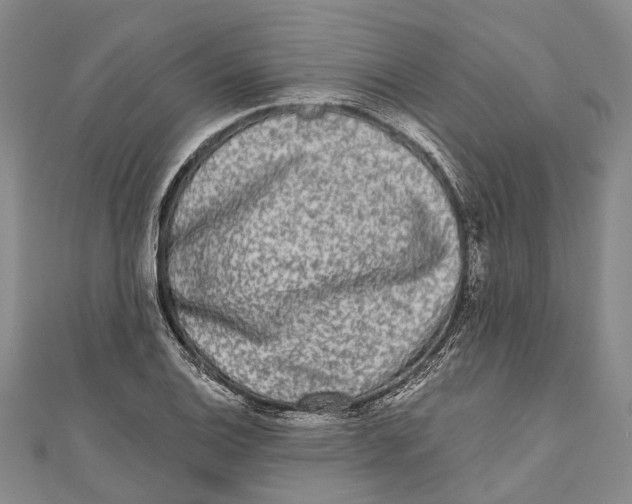 X0000111001124200907101446