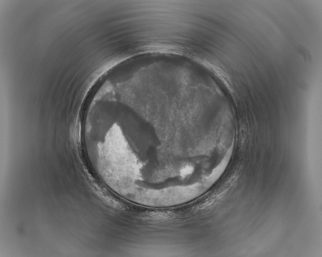 X0000111001125200907101446